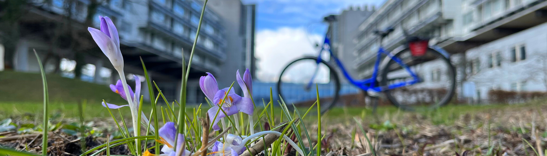 Kongresshotel Agebot "Potsdam mit dem Fahrrad erkunden".