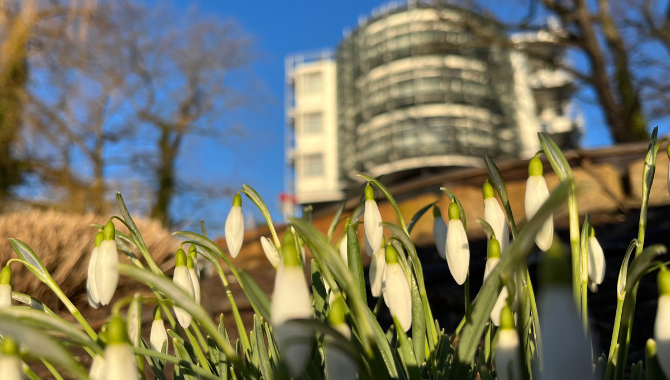 fruehling-freiluftbar-zeppelin