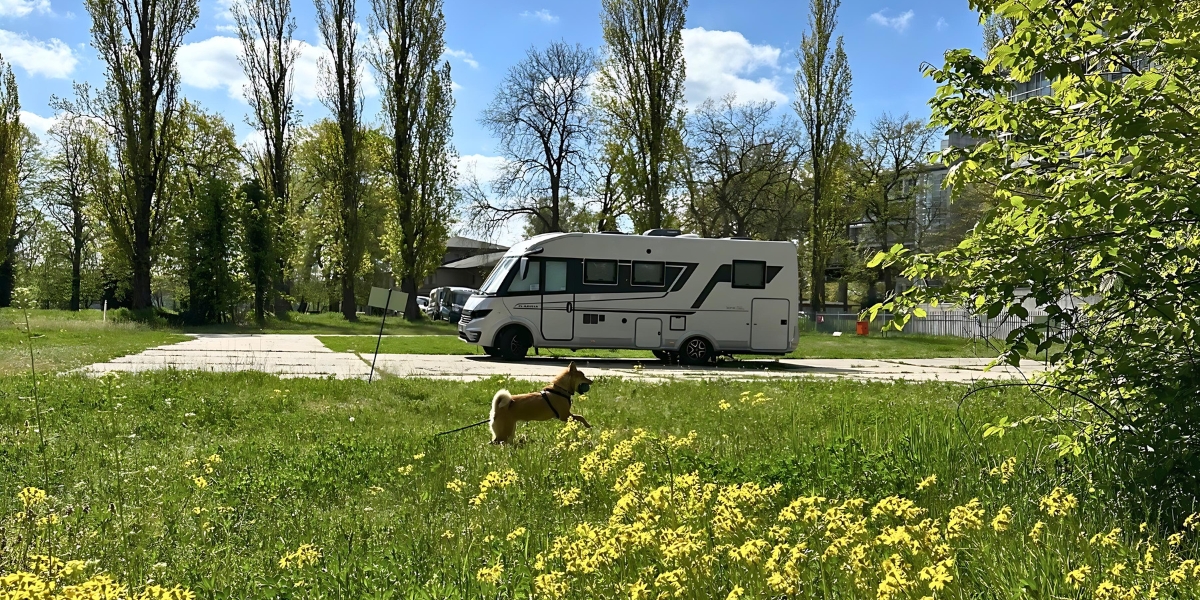 Wohnmobilestellplatz am Templiner See. Wohnmobile mit Hund.