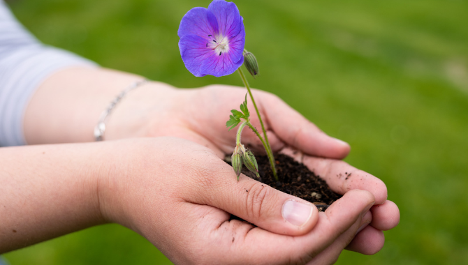 Kongresshotel-Potsdam-Nachhaltigkeit