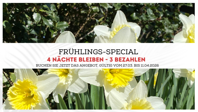 Frühling-Special Übernachtungsangebot